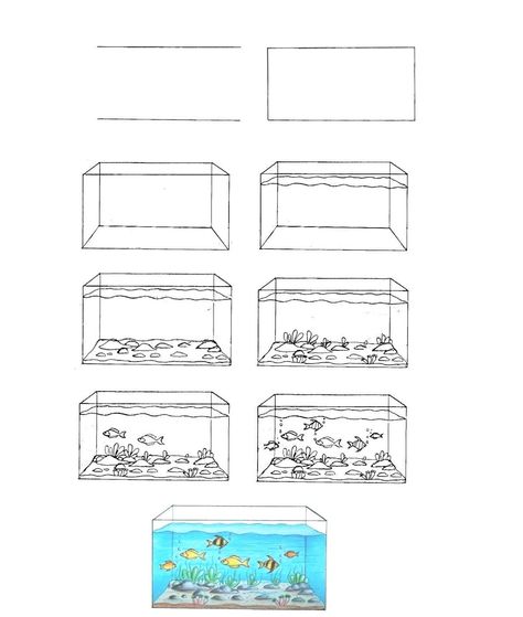 How To Draw an Aquarium - Step By steps Guide 1 How To Draw An Aquarium, Fish Tank Drawing, Aquarium Drawing, Tank Drawing, Lol Coloring Pages, Lol Coloring, Drawn Fish, Fish Drawings, Basic Drawing