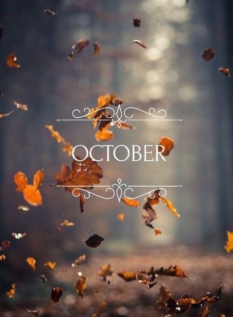 Hello October Images, October Images, Autumn Leaves Falling, October Wallpaper, Leaves Falling, Birthday Wallpaper, Hello October, Autumn Magic, Happy Fall Y'all