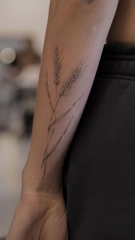 Canola Flower Tattoo, Wheat Stalk Tattoo, Sunflower And Wheat Tattoo, Oats Tattoo, Straw Tattoo, Wheat Tattoos For Women, Cattail Tattoo, Hay Tattoo, Prairie Tattoo