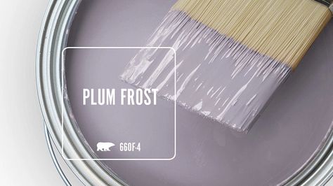 PLUM FROST 660F-4 | Behr Paint Colors Behr Purple Grey Paint Colors, Best Pale Purple Paint Colors, Behr Lilac Paint Colors, Behr Paint Colors For Girl Nursery, Purple Paint Bedroom Ideas, Behr Purple Paint Colors, Gray And Purple Aesthetic, Purple Toned Grey Paint, Lavender Grey Paint