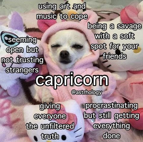 Capricorn Girl, Libra Quotes Zodiac, Aries Zodiac Facts, Capricorn Life, Zodiac Signs Chart, Taurus Zodiac Facts, Capricorn Quotes, Libra Zodiac Facts, Astrology Libra