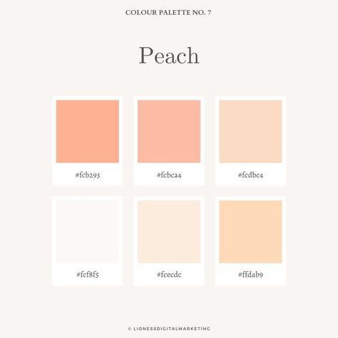 Peach Graphic Design, Peach Branding, Color Palette Peach, Peach Colour Palette, Peach Color Palette, Procreate Inspiration, Colour Palette Inspiration, Peach Color Palettes, Project Website