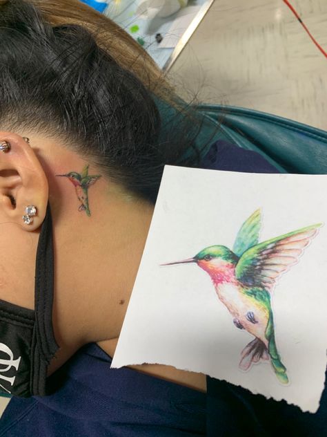 Small tattoo behind the ear Hummingbird Tattoos Behind The Ear, Behind Ear Tattoo Hummingbird, Hummingbird Tattoo Ear, Humming Bird Behind Ear Tattoo, Humming Bird Tattoo Behind Ear, Hummingbird Ear Tattoo, Small Hummingbird Tattoo Behind Ear, Hummingbird Tattoo Behind Ear, Back Ear Tattoo