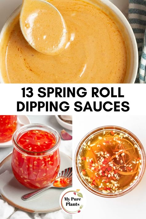 Vietnamese Spring Roll Dipping Sauce, Healthy Egg Roll Sauce, Spring Roll Dumplings, Healthy Spring Roll Sauce, Spring Roll Board, Spring Roll Dipping Sauce Recipe, Summer Rolls Sauce Recipe, Spring Roll Dipping Sauce Gluten Free, Different Spring Roll Recipes