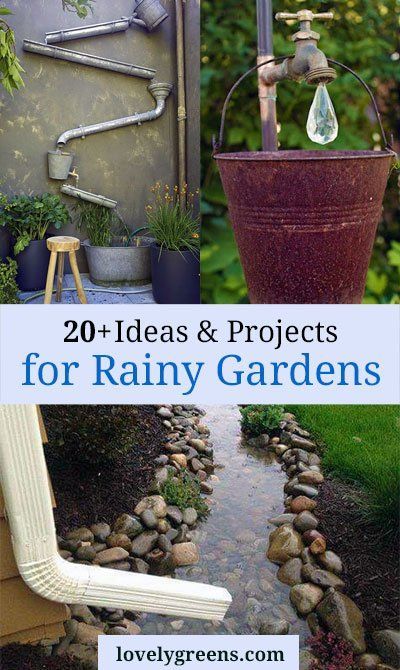 20+ Ideas & Projects for a Rainy Garden Rainy Garden, Rain Gardens, Tattoo Plant, Bog Garden, Rain Chain, Rain Water Collection, Rain Garden, Garden Show, Creative Gardening