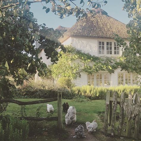 A beautiful thatched English cottage in the autumn morning light. #cottages #england #devon #autumnlight Cottage Aesthetic, Cottage In The Woods, Dream Cottage, Cottage Core Aesthetic, Little Cottage, Cottagecore Aesthetic, English Cottage, Cozy Cottage, The Grass