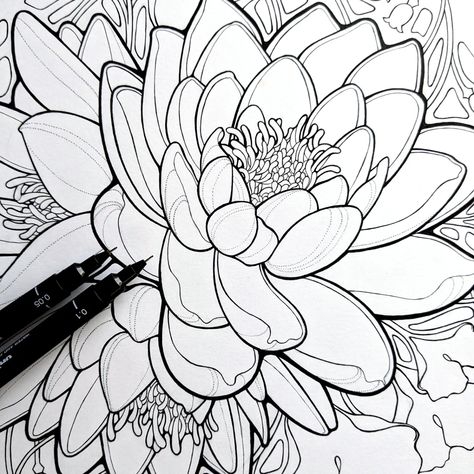 tattoo line art for a water lily Water Lily Tattoo Design, Waterlily Tattoos, Water Lily Tattoo, Tattoo Line Art, Water Lily Tattoos, Lily Tattoo Design, Tattoo Japanese Style, Tattoo Line, Colorado Artists