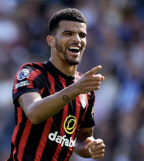 Dominic Solanke capitalises for Bournemouth Chelsea Fc, Afc Bournemouth, Premier League, Brighton, Dominic Solanke, Brighton Hove Albion, Brighton & Hove Albion, Bournemouth, Football Club