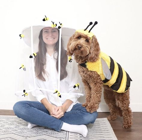 S’more Dog Costume, Dog Wolf Costume, Puppy Custome Halloween, Bee Dog Costume, Diy Dog Bee Costume, Toy Poodle Halloween Costumes, Dog Scarecrow Costume, Dog Gnome Costume, Daschund Halloween Costumes