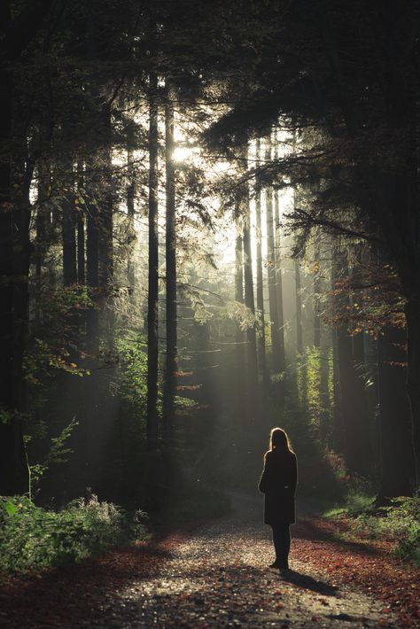 A Woman, Walking, Trees, Forest