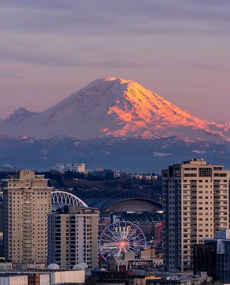 Mt. Rainer #seattle Pnw Aesthetic, Mt Rainer, Pacific Coast Road Trip, Seattle Travel, Sleepless In Seattle, Juneau Alaska, Beautiful Scenes, Red Hill, Olympic National Park