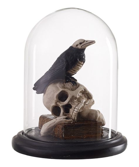 Look at this Spooky Raven Skull Glass Cloche on #zulily today! Cloche Halloween, Halloween Cloche, Black Centerpieces, Glass Bell Jar, Skull Statue, Crow Skull, Glass Cloche, Halloween Party Supplies, The Bell Jar