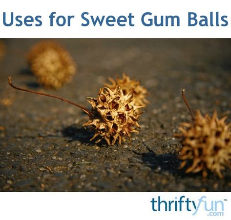 Crafts Using Sweet Gum Balls, Sweet Gum Tree Ball Crafts, Sweet Gum Ball Crafts Diy, Sweet Gum Crafts, Sweet Gum Balls Witchcraft, Sweet Gum Balls Crafts, Gums Receding, Sweet Gum Tree Crafts, Outdoors Crafts