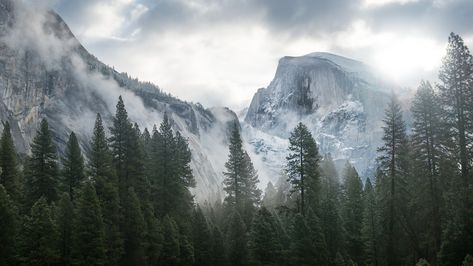 Yosemite Wallpaper, Macbook Air Wallpaper, Forest Mural, Wallpaper Macbook, Foggy Mountains, Park Forest, Forest Wall Mural, Foggy Forest, Forest Mountain