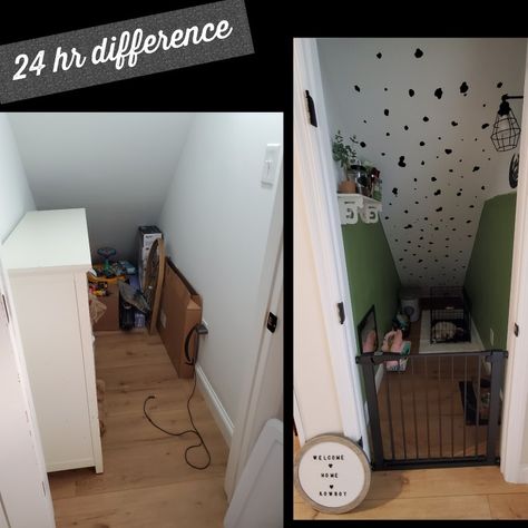 A under the steps closet turned into a dog bedroom! Dog Room Closet, Dog Bedroom Under Stairs, Dog Room Design, Dog Closet, Dog Space, Dog Bedroom, Dog Spaces, Dog Room, Dog Area