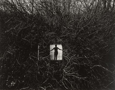 Harry Callahan. Eleanor, Chicago. 1951 | MoMA Laura Makabresku, Harry Callahan, Lee Friedlander, Miranda July, Edward Weston, Multiple Exposure, Gelatin Silver Print, Black Mountain, 인물 사진