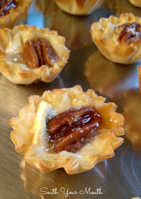 Salted Pecan Brie Tartlets with Honey Drizzle | South Your Mouth | Bloglovin’ Christmas Horderves, Easy Appitizer, Brie Tarts, Brie Tartlets, Paradise Drink, Thanksgiving Tea, South Your Mouth, Phyllo Cups, Brie Bites