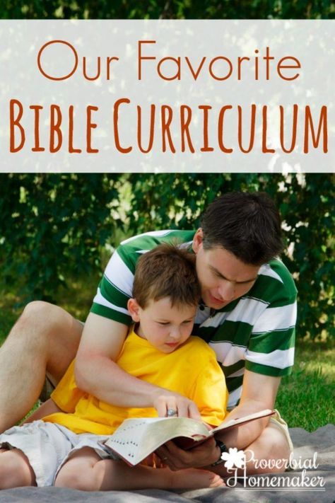 This is our favorite Bible curriculum that we also use as a family devotion and discipleship tool! Homeschool Bible Curriculum, Memory Verses For Kids, Christian Homeschool Curriculum, Sunday School Curriculum, Family Bible Study, Family Bible, Bible Resources, Family Devotions, Bible Study For Kids