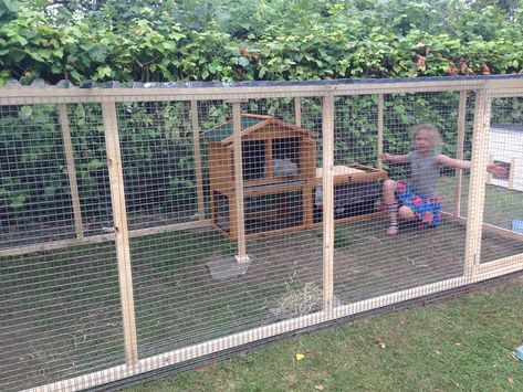 Walk In Rabbit Enclosure, Outdoor Bunny Habitat, Baby Rabbits Cute, Bunny Hutches, Outdoor Rabbit Run, Bunny Sheds, Rabbit Playground, Rabbit Cages Outdoor, Diy Bunny Cage