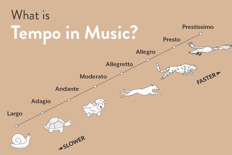 What is Tempo in Music? Music Academy, Different Music Genres, Different Genres Of Music, History Of Music Timeline, Music Timeline Infographic, Tempo Music Lesson, Tempo Music, Music Theory Lessons, Moonlight Sonata