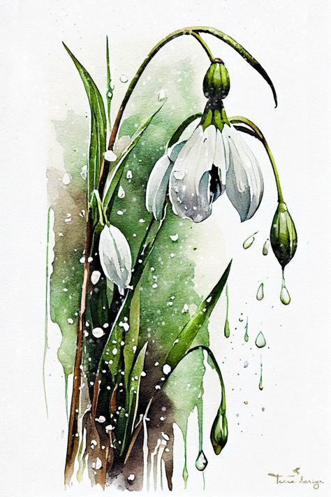 Snowdrop Flower, Water Paintings, Flower Watercolour, Bell Flowers, Painting Water, Floral Watercolor Paintings, Water Colours, Flower Watercolor, Blue Bell