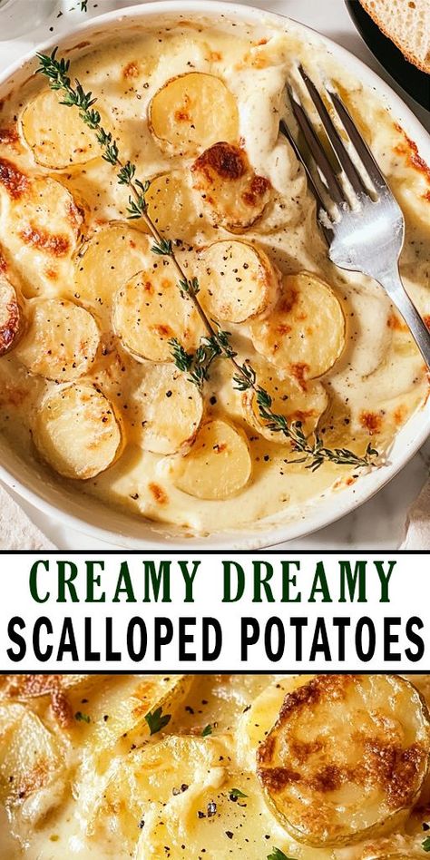 Indulge in the ultimate comfort food with these Creamy Dreamy Scalloped Potatoes! 🥔✨ This mouthwatering dish combines tender layers of thinly sliced potatoes, rich cream, and a hint of garlic for a flavor explosion that will impress your family and friends. Ready to elevate your next meal? Click to save this recipe and share it with friends who love hearty comfort food! #ScallopedPotatoes #ComfortFood #PotatoRecipes #EasyRecipes #Foodie #HomeCooking #Yummy #Casserole Sour Cream Scalloped Potatoes, Ultimate Scalloped Potatoes, Cream Of Mushroom Scalloped Potatoes, Scalloped Potatoes White Sauce, Creamy Augratin Potatoes Recipe, Garlic Scalloped Potatoes, Horseradish Scalloped Potatoes, Yukon Gold Scalloped Potatoes, Scalloped Potatoes With Cream Mushroom