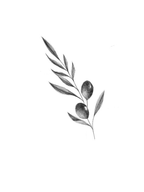 Delicate Olive Branch Tattoo, Oliver Branch Tattoo, Olive Plant Tattoo, Olive Tattoos, Fine Line Olive Branch Tattoo, Olive Branch Tattoo Design, Olive Branch Tattoo Meaning, Olive Tree Tattoos, Olive Tattoo