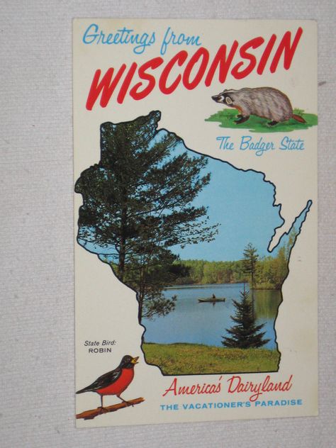 Vintage Postcard Greetings from Wisconsin The Badger State Michigan Outline, State Project, Wisconsin Pride, Departures Board, Vintage Wisconsin, La Crosse Wisconsin, Rochester Mn, Pictorial Maps, Wisconsin State