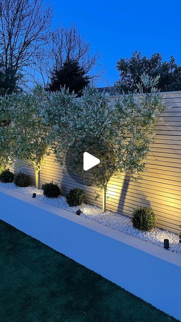 Trees In Borders, Garden Colour Ideas, Garden Borders With Stones, Stone Garden Fence, Uk Garden Design, Salix Flamingo Tree Border, Easy Maintenance Garden, Garden Screens Ideas, Garden White Stones