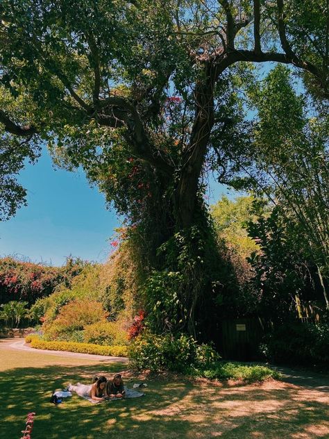 Under A Tree Aesthetic, Picnic Under Tree, Couple Under Tree, Spring Love, Visual Narrative, Under A Tree, Summer Trees, Touch Love, Willow Tree