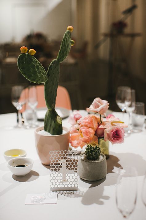 This tropical Aussie wedding has cacti chandeliers! #aussiewedding #tropical #palmsprings see more: https://ruffledblog.com/tropical-industrial-wedding-cacti-chandeliers Small Cactus Centerpieces, Cacti Table Decor, Cactus And Flowers, Wine On Tables At Wedding, Cacti Centerpieces, Cactus Floral Arrangements, Cactus Centerpieces, Desert Wedding Theme, Cactus Centerpiece Ideas