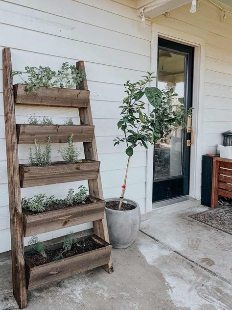 patio with a lemon tree and a leaning herb garden Front Of House Landscape Ideas Farmhouse, Ladder Planter, Patio Herb Garden, Oasis Design, Herb Garden Wall, Garden Ladder, Herb Garden Pallet, Flowers Creative, Outdoor Herb Garden