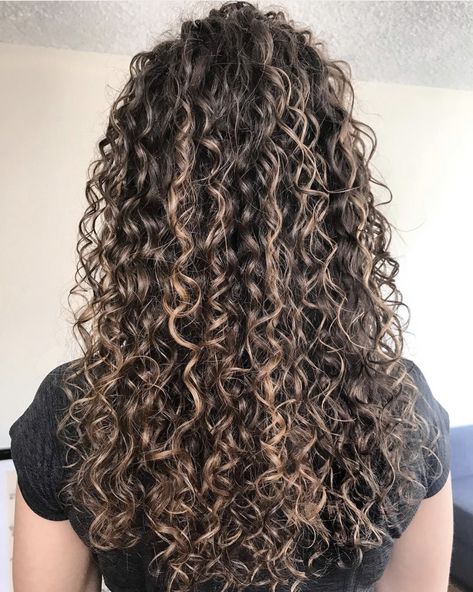 Hair Glow Up Tips, Curls With Highlights, Ideas Para El Pelo, 3a Curly Hair, Blonde Highlights Curly Hair, 3a Hair, 3b Hair, Dark Curly Hair, 4b Hair