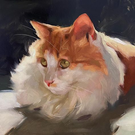 Jennifer Gennari, Strands Of Hair, Cat Portrait Painting, Dog Portraits Painting, Cat Art Illustration, Animal Portraits Art, Soyut Sanat Tabloları, Cat Artwork, To The Rescue