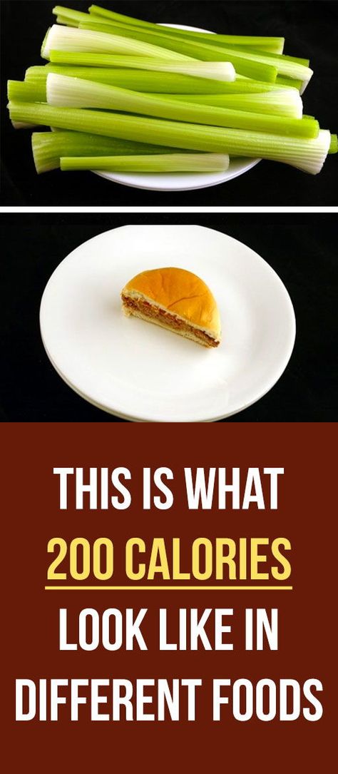 The size of a portion doesn't always tell the whole story. Some food are heavier in calories and others aren't. This is a must-read for any health-conscious person. #healthy #nutrition #fit #weightloss #diet #fitness Different Types Of Food, 200 Calorie, 200 Calorie Meals, Different Foods, 100 Calorie Snacks, Low Calorie Breakfast, Weight Watchers Snacks, Eat Healthier, Health Conscious