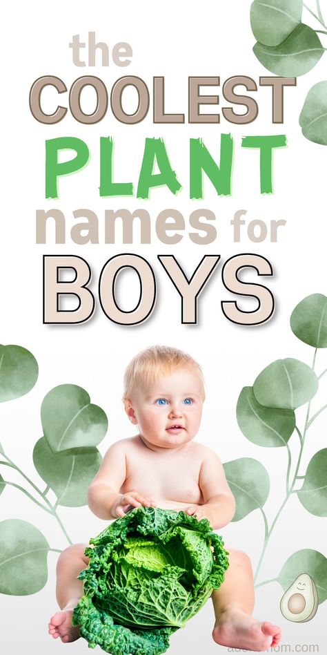 the coolest plant names for boys - picture of baby boy surrounded by green leaves and holding a big head of lettuce Plant Baby Names, Nature Names For Boys, Earthy Boy Names, Flowers Name List, Baby Boy Name List, Baby Bot, Boy Name Meanings, Names For Boys List