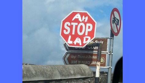 Funny Road Signs And Situations You Can Find In Ireland Jokes For Best Friends, Irish Memes, St Patricks Day Jokes, Irish Jokes, Funny Road Signs, St Patricks Day Quotes, Irish Culture, Irish Funny, Irish Eyes