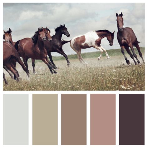 Bring soft tones of the west into your home with this neutral color pallete! #neutral #neutralstyle #home #horses #colorpalettes #color #trendy #naturelovers Cowgirl Color Palette, Horse Color Palette, Western Color Scheme, Western Color Palette, Glam Color Palette, Western Colors, Mobile Grooming, Cowgirl Bedroom, Western Clipart