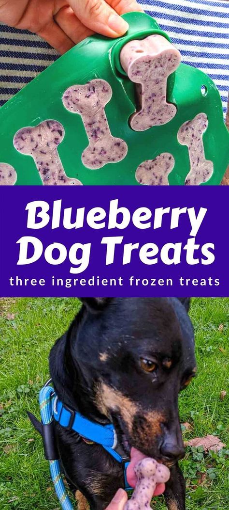 Puppy Ice Cube Treats, Ice Cube Dog Treats, Diy Frozen Dog Treats Ice Cubes, Frozen Dog Treats Homemade Ice Cube Trays, Dog Treats Mold Recipes, Dog Treat Molds, Frozen Blueberry Dog Treats, Healthy Frozen Treats For Dogs, Diy Dog Bones Recipes