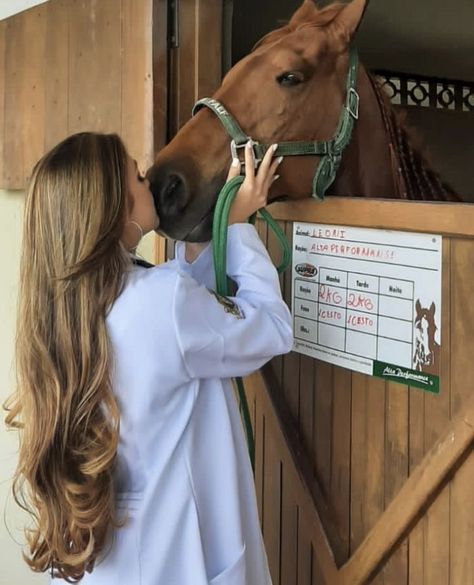 Vet Medicine Aesthetic, Vet Girl Aesthetic, Equine Vet Aesthetic, Veterinary Medicine Aesthetic, Livestock Veterinarian, Vet Med Aesthetic, Vet Student Aesthetic, Veterinary Aesthetic, Veterinarian Aesthetic