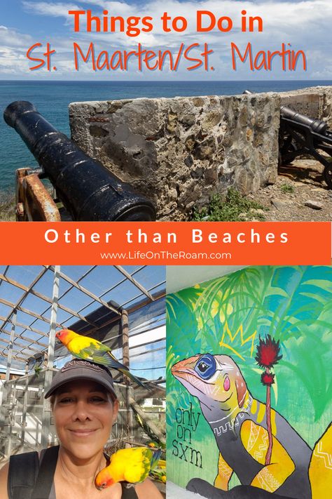 A collage of pictures of a fort with cannons, a woman with a parakeets on the heads and the shoulder and a mural of a colourful iguana, with the text "Things to do in St..Maarten/St. Martin other than beaches" Things To Do In St Martin, Marigot St Martin, St Maarten Cruise Port, St Marteen Island Things To Do, St Maarten Things To Do In, Philipsburg St. Maarten, Phillipsburg St Maarten, Orient Beach St Martin, Saint Marteen