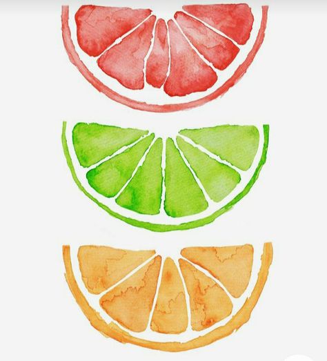 3 Colour Drawing, Fruit Easy Painting, Watercolor Citrus Fruit, Painting Of An Orange, Citrus Artwork, Orange Slice Painting, Cute Watercolour Painting, Citrus Drawing, Grapefruit Painting