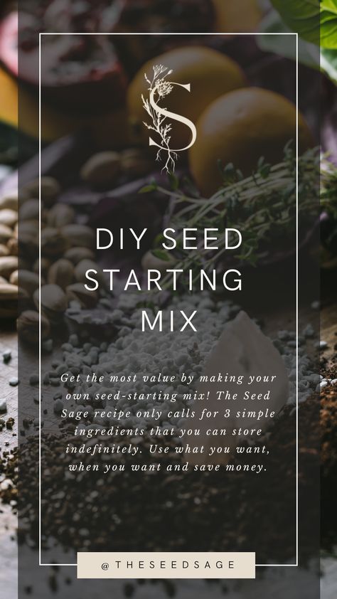 Pinterest Banner, Seed Starting Soil, Growing Seedlings, Sage Recipes, Seed Raising, Raised Bed Garden, Florida Plants, Seed Starting Mix, Growing Gardens