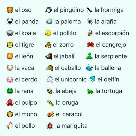 Useful Spanish Phrases, Spanish Words For Beginners, Preschool Spanish, Basic Spanish Words, Learning Spanish For Kids, Spanish Basics, Spanish Lessons For Kids, Learning Spanish Vocabulary, Learn Another Language