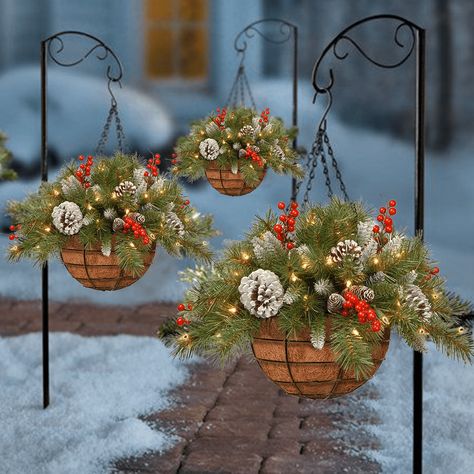 Christmas hanging baskets