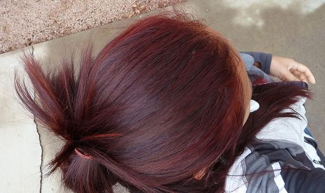 Want this!!!! colored red hair w/ garnier nutrisse light intense auburn Balayage, Colored Red Hair, Mahogany Red Hair, Pelo Color Vino, Hair Color Pictures, Wine Hair, Red Hair Inspo, Dark Red Hair, Hair Color Auburn