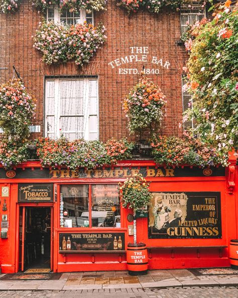 Why is the Temple Bar Famous  What is the Best Day and Time to go to The Temple Bar in Dublin • Petite in Paris Ireland Temple Bar, Dublin Pub Aesthetic, The Temple Bar Dublin, Ireland Pub Aesthetic, Ireland Moodboard, Ireland Background, Irish Pub Aesthetic, Dublin Architecture, Dublin Ireland Aesthetic