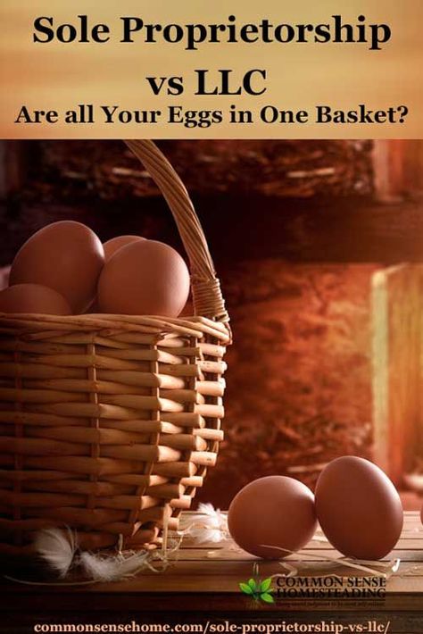 Sole Proprietorship vs LLC - You can protect your farm or small business, as well as your private assets, with just a little extra time and effort. Sole Proprietorship, Easy Backyard, Raising Chickens, Pinterest For Business, Small Business Tips, Social Media Business, Money Maker, How To Know, Craft Gifts