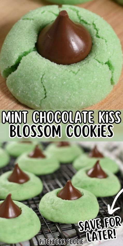 Mint chocolate kiss blossom cookies are the sweet treat you have been looking for! They're puffy, minty, and green, making them the perfect holiday dessert or gift. Save this scrumptious blossom cookie recipe and make your St. Patrick's Day celebrations even more magical! Mint Kiss Cookies, Kiss Blossom Cookies, St Patricks Food, Mint Desserts, Kiss Cookies, Blossom Cookies, St Patricks Day Food, Mint Cookies, Holiday Dessert