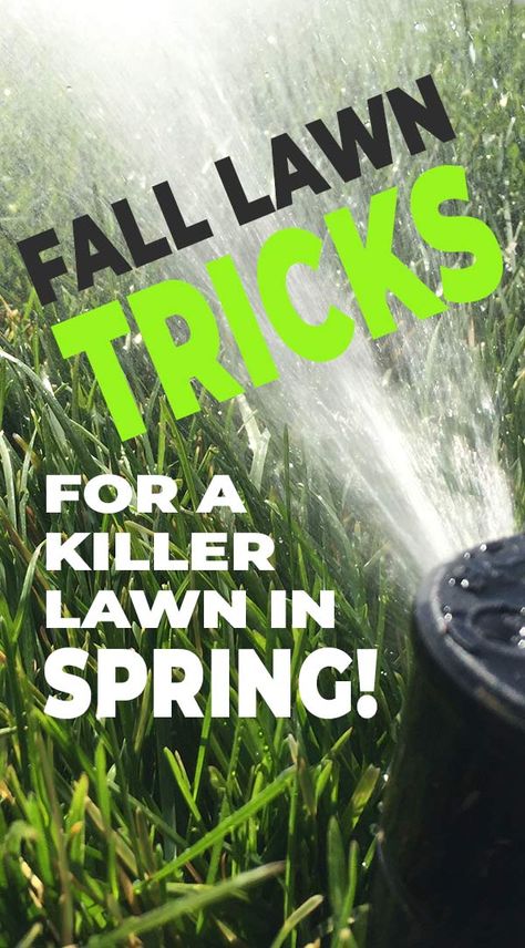 Fall Lawn Care Tricks for a Killer Lawn in Spring! • The Garden Glove Fall Lawn Maintenance, Lawn Care Diy, Lawn Care Schedule, Fall Lawn Care, Grass Growing, Fall Lawn, Lawn Care Tips, Grow Vegetables, Fall Vegetables